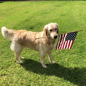 Meet your Posher, Katherine